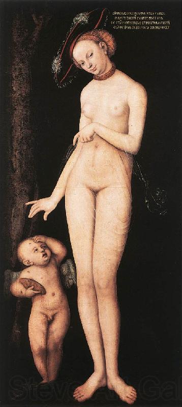 CRANACH, Lucas the Elder Venus and Cupid dsf Spain oil painting art